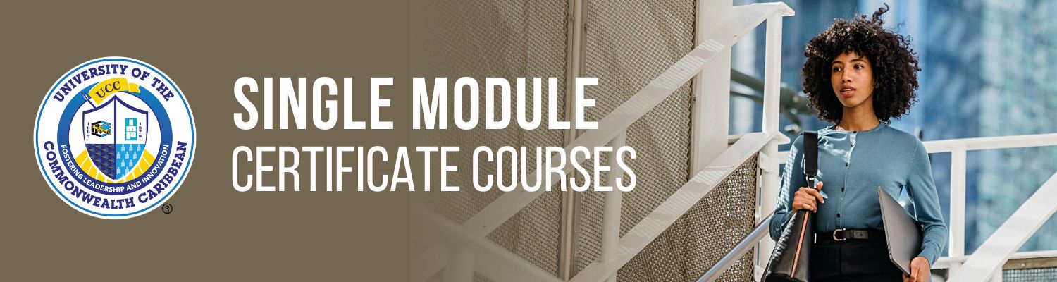 UCC Single Module Certificate Courses